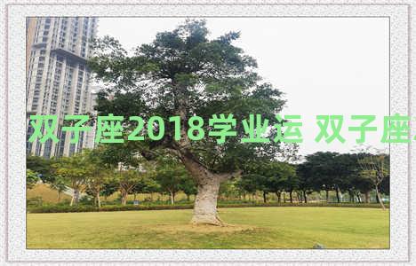 双子座2018学业运 双子座2021年学业